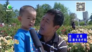 喜迎5·18 月季花开香满城