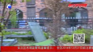 零距离·热线:小区业主私自扩建小院 占用公共绿地引其他业主不满
