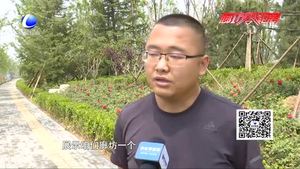 艺术大道添新景 精彩绽放 “5·18”