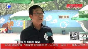 村民家中发现“啄木鸟”？实为戴胜