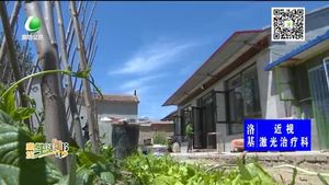 小小种兔 扶贫顶呱呱