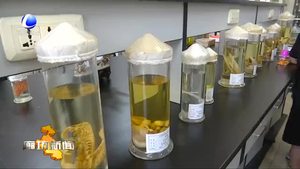 2019年廊坊市科技活动在周举办科普体验活动