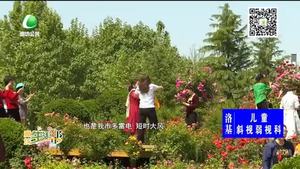 本周以多风天气为主