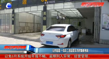 见财起意 一洗车工因盗窃车内财物被刑拘