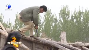 安次区开展永定河“清四乱”专项行动