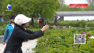 老年人期盼”说走就走的旅行“跟团游不应高门槛