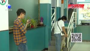 气温升高 猫狗进入“焦躁期”小心被咬伤