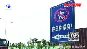 “被撞死翘翘”另类安全标注惹争议