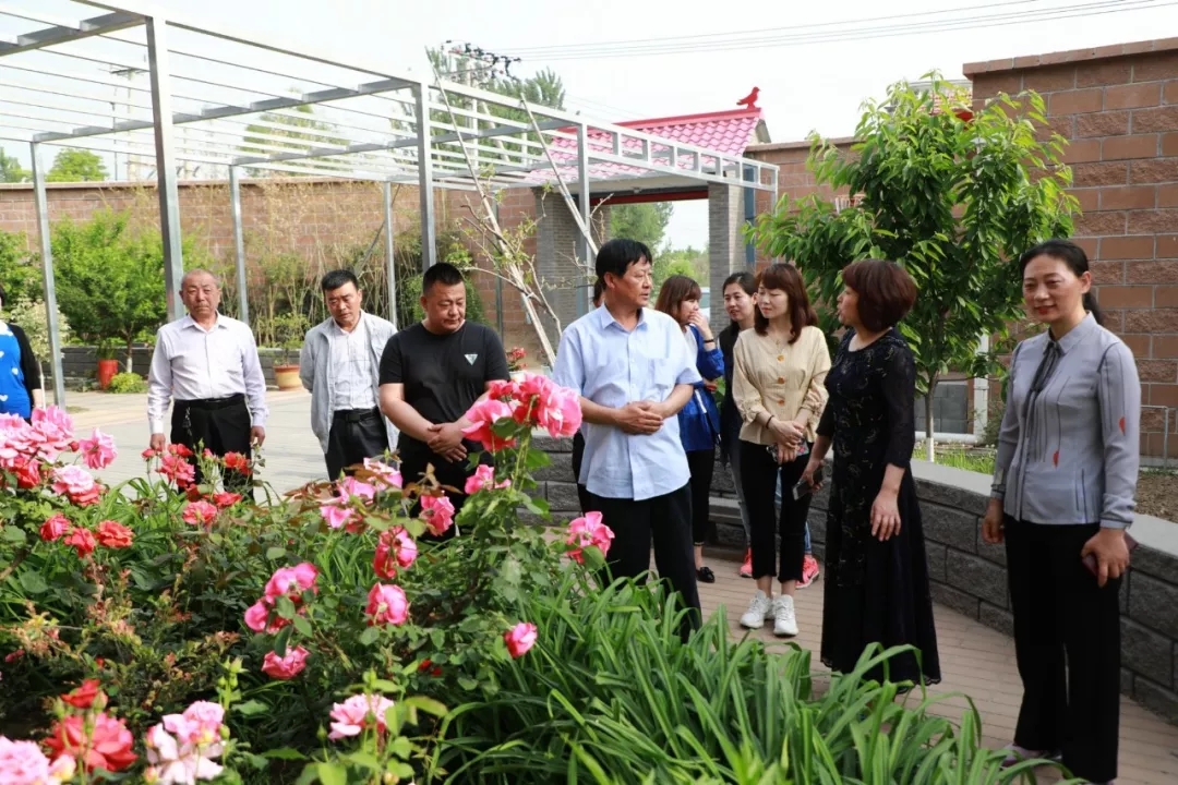 春意盎然的五月，廊坊市妇联领导在这些美丽庭院留下足迹……