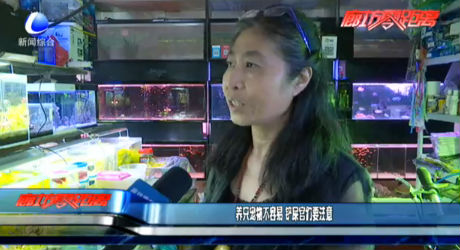 养只宠物不容易 铲屎官们要注意