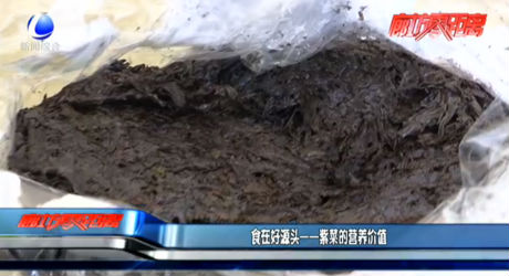 食在好源头——紫菜的营养价值