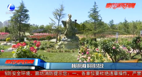 静观月季花神像 探寻月季古老历史