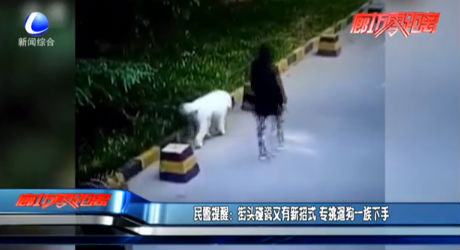 民警提醒：街头碰瓷又有新招式 专挑遛狗一族下手