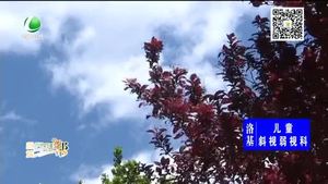 本周气温波动大 昼夜温差明显