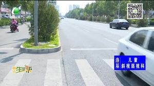 绿化带遮挡视线 要美观更要安全