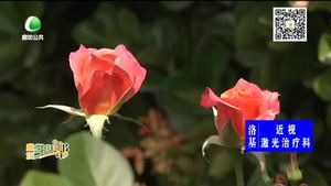 今起三天多云为主 明后天炎热再起