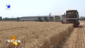 永清县6.8万亩小麦机收工工作全面展开