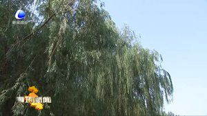 固安县打造优美宜居城市生态环境