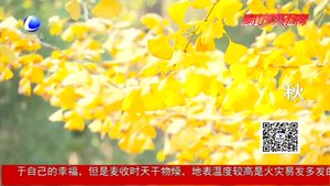 廊坊四时之美 美了四季