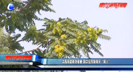 本周前期清热暴晒 周中或有降雨来“降火”