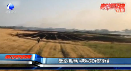 麦田起火触目惊心   科学防火别让辛苦付诸东流