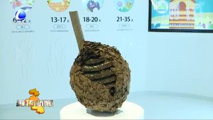 亚洲最大蜂产品加工基地在廊坊开发区建成投产