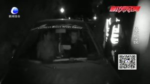 1600元网购假牌车 无证驾车被拘留