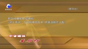 中省媒体看廊坊