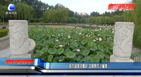 荷花虽美还需护 文明赏花才最美
