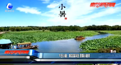 今日小暑：倏忽温风至 因循小暑来