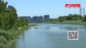 龙河出现疑似捕鱼网？安次区水务局：是漂浮物拦截网