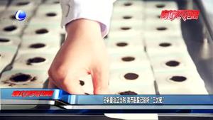 冬病夏治正当时 我市医院已备好“三伏贴”