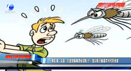 吃甜食喝啤酒易招蚊子？盘点蚊子最喜欢的究竟是谁