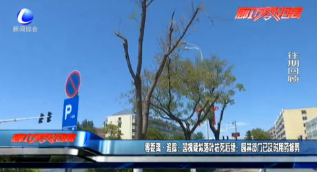 零距离·追踪：国槐疑似落叶枯死后续：园林部门已及时用药修剪