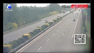 回家心切闯高速 晕倒路中被车撞