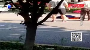 固安一环卫工人被撞