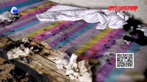 停电后椅子“自燃”差点烧了家？竟是电吹风惹的祸