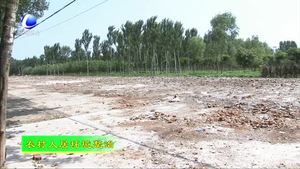 大城县留各庄镇美化村庄环境 打造美丽乡村