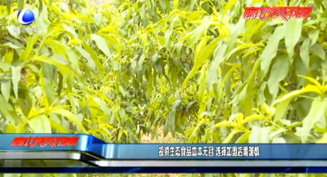 投资生态食品血本无回 选择加盟店需谨慎