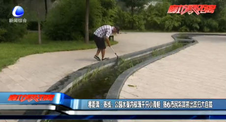 零距离·热线：公园水渠内惊现千只小青蛙 热心市民将其捞出放归大自然