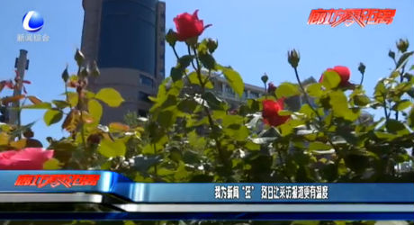 我为新闻“狂” 烈日让采访更有温度