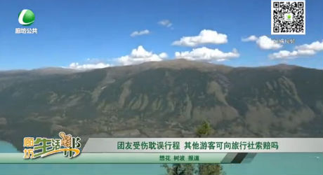 团友受伤耽误行程 其他游客可向旅行社索赔吗