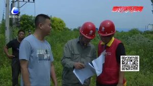 电力部门集中清理树障 保障电网供电安全