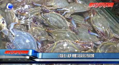 小龙虾进入尾声 螃蟹价格亲民引市民尝鲜