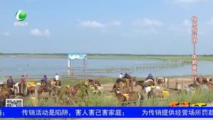 乐游天下 20190823