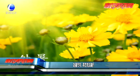 处暑节气 养生吃点啥？