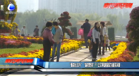 “骚扰长耳鸮” “偷挖野菜”?让文明游园成为最美风景