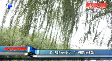 有一种陪伴叫不离不弃 有一种爱情叫共挽鹿车