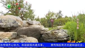 乐游天下 20190913