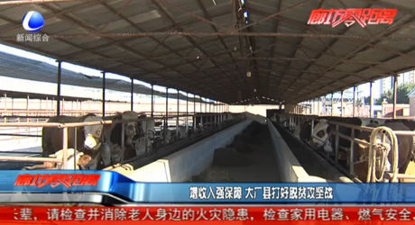 增收入强保障 大厂县打好脱贫攻坚战